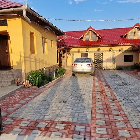 Pensiunea Casa Andreea Novaci-Straini Luaran gambar