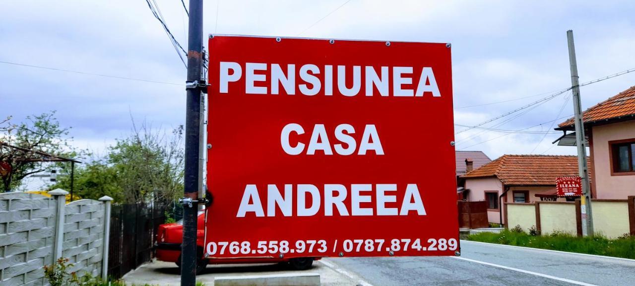 Pensiunea Casa Andreea Novaci-Straini Luaran gambar