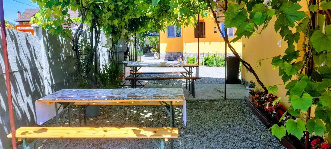 Pensiunea Casa Andreea Novaci-Straini Luaran gambar
