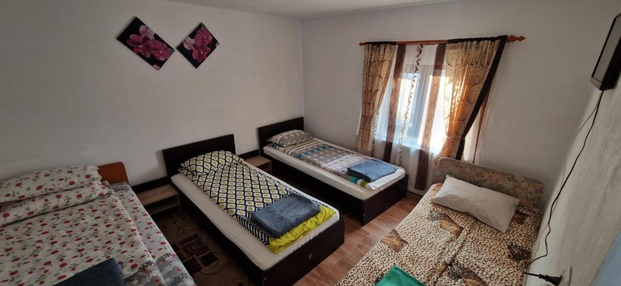 Pensiunea Casa Andreea Novaci-Straini Luaran gambar