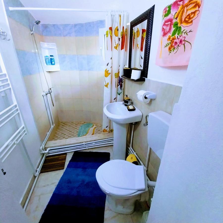 Pensiunea Casa Andreea Novaci-Straini Luaran gambar