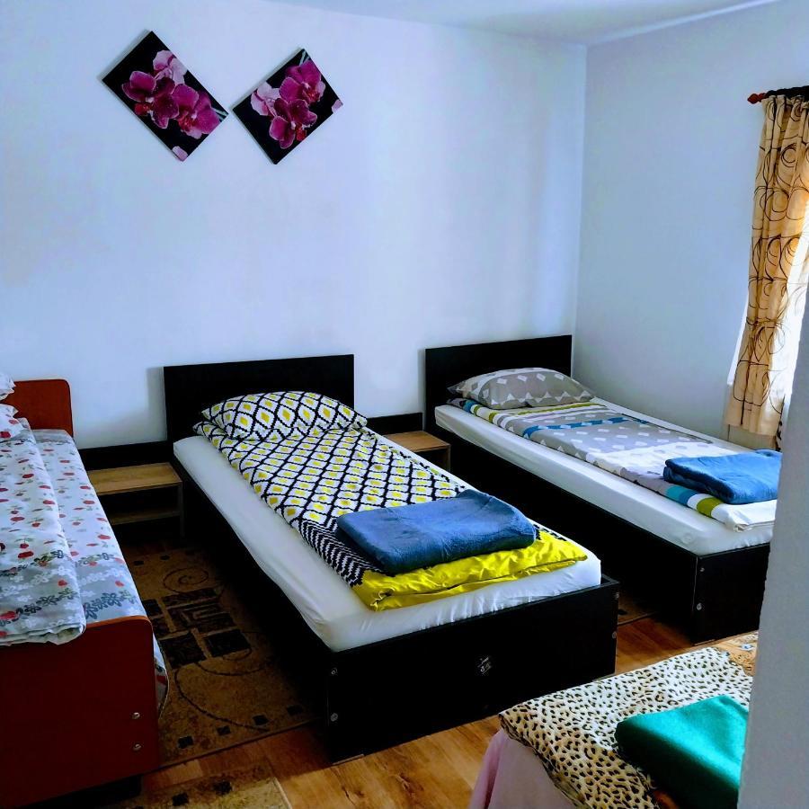Pensiunea Casa Andreea Novaci-Straini Luaran gambar